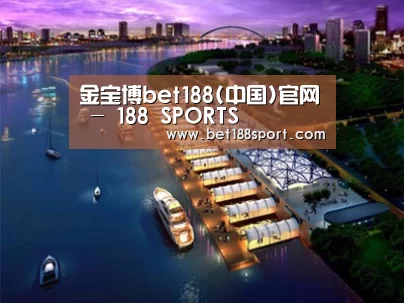 案例展示八