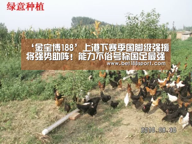 金宝博官网