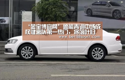 ‘金宝博官网’鲁能青训中场成权健离队第一热门,将落叶归根为家乡球队出战(图1) 金宝博188