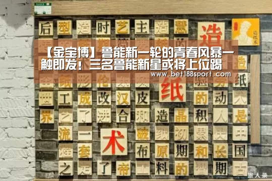 【金宝博】鲁能新一轮的青春风暴一触即发！三名鲁能新星或将上位踢首发(图2)