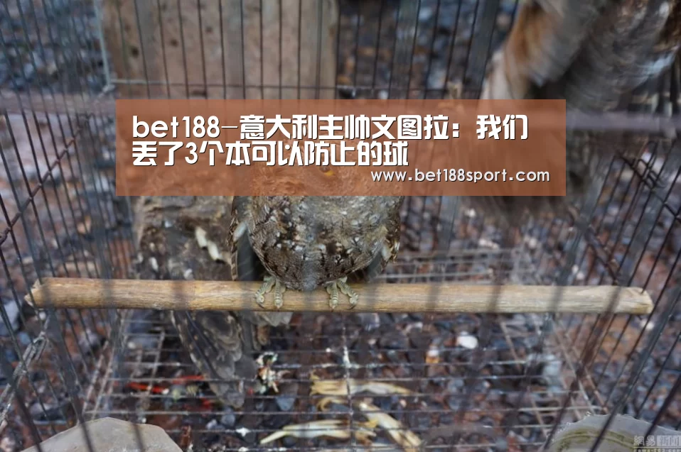 bet188-意大利主帅文图拉:我们丢了3个本可以防止的球(图2) bet188-意大利主帅文图拉:我们丢了3个本可以防止的球(图2)