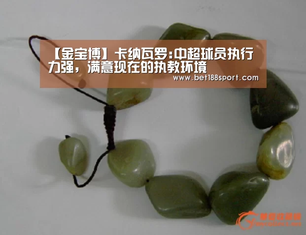【金宝博】卡纳瓦罗:中超球员执行力强,满意现在的执教环境(图2) 金宝博
