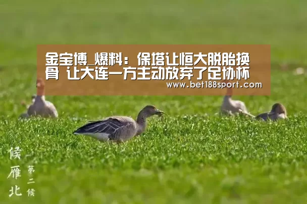 金宝博_爆料:保塔让恒大脱胎换骨 让大连一方主动放弃了足协杯(图2) 金宝博