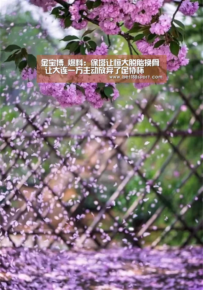 金宝博_爆料:保塔让恒大脱胎换骨 让大连一方主动放弃了足协杯(图4) 金宝博_爆料:保塔让恒大脱胎换骨 让大连一方主动放弃了足协杯(图4)